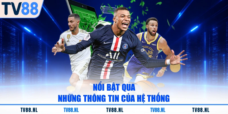 Nổi bật qua những thông tin của hệ thống